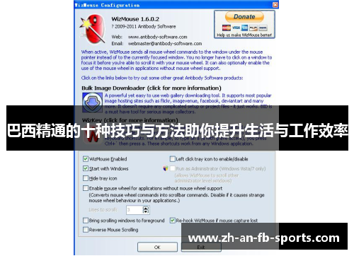 巴西精通的十种技巧与方法助你提升生活与工作效率 巴西精通的十种技巧与方法助你提升生活与工作效率