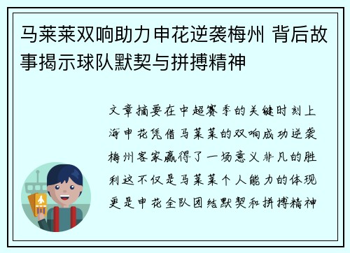 马莱莱双响助力申花逆袭梅州 背后故事揭示球队默契与拼搏精神 马莱莱双响助力申花逆袭梅州 背后故事揭示球队默契与拼搏精神